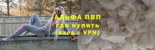 индика Беломорск