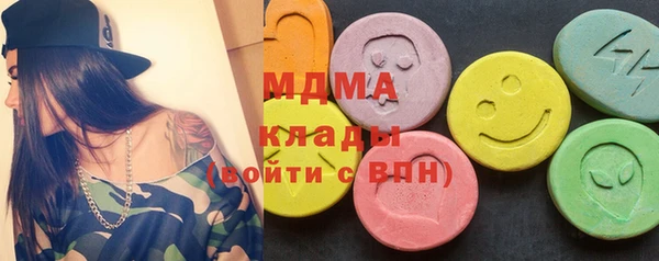 индика Беломорск