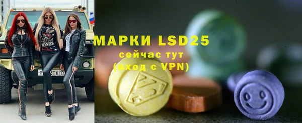 индика Беломорск