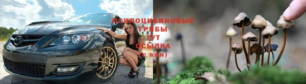 бошки Белокуриха
