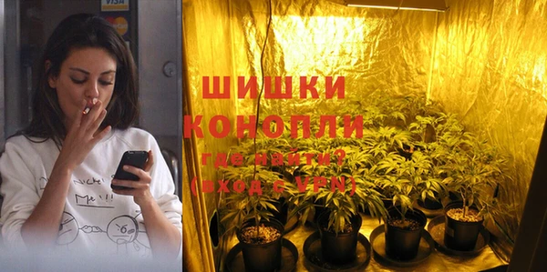 бошки Белокуриха