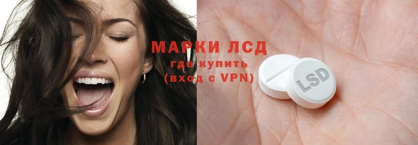 индика Беломорск