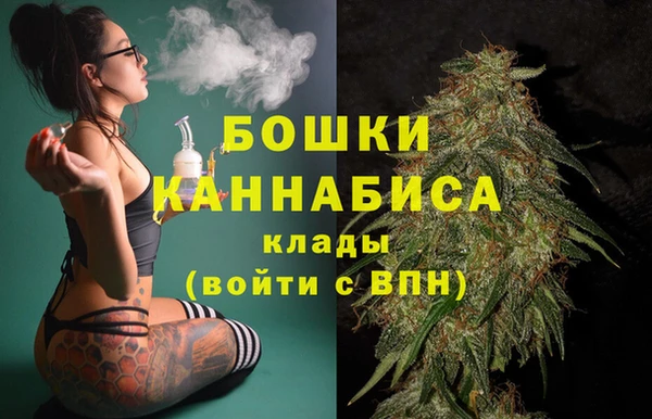 индика Беломорск