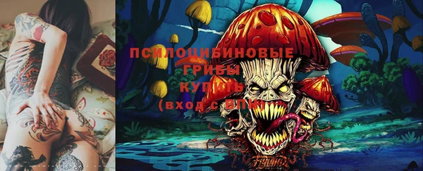 бошки Белокуриха