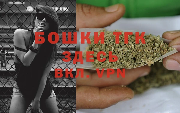 индика Беломорск