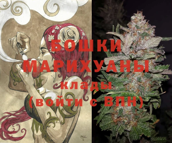 ПСИЛОЦИБИНОВЫЕ ГРИБЫ Белоозёрский