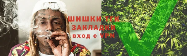 бошки Белокуриха