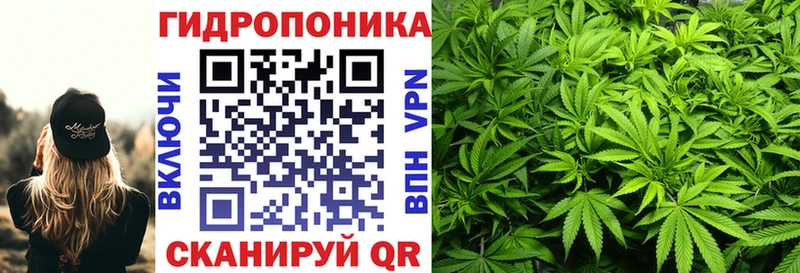 Каннабис индика  Ульяновск 